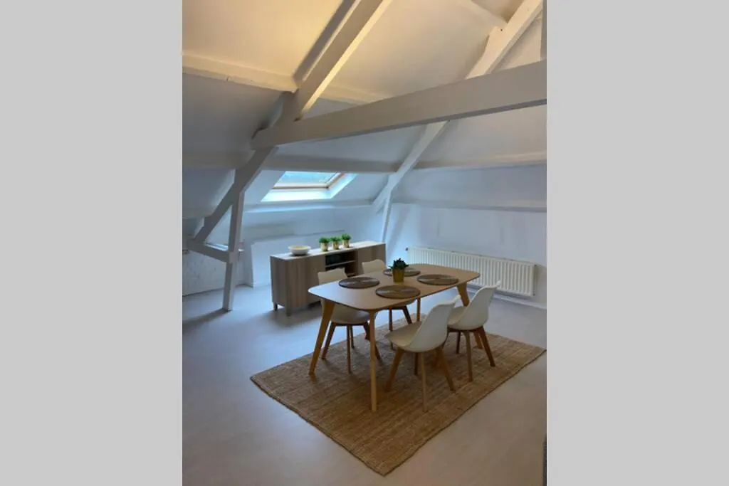 Moderne Loft In Historisch Pand Apartment Ghent